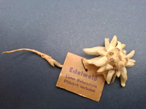 Whw edelweiß wachspapier - whw,