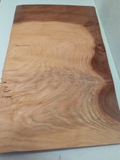 Vavona Wurzel Mammutbaum