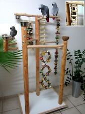 FREISITZ aus ROTBUCHENHOLZ