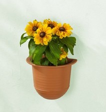 Wand-Blumentopfhalter