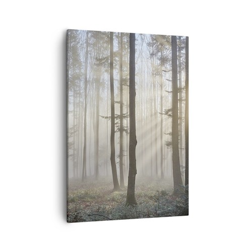 Wandbilder 50x70cm