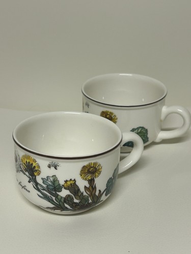 Villeroy noch botanica 2 - &,