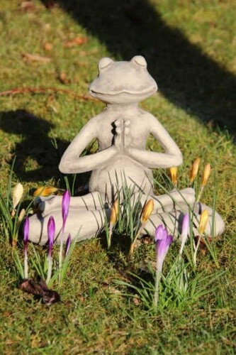 Gartenfigur yoga frosch der - yoga-frosch, "der