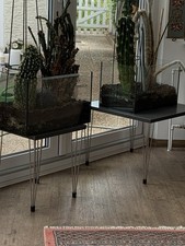Kakteen In Terrarien Ca. 60 U.50cm Hoch Gerne Mit Tischen 
