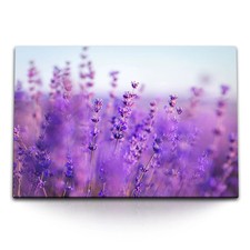 120x80cm wandbild auf - auf, leinwand