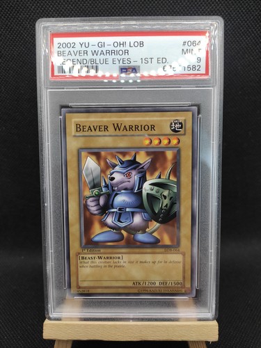 Beaver warrior psa - beaver,