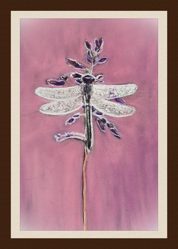 Libelle auf blumenstielen - libelle,