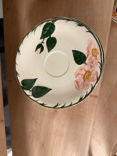 Villeroy boch wild - &,