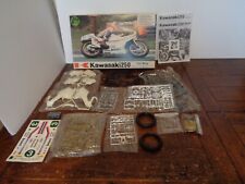 Protar 1/9 Ref 179 Kawasaki 250 Toni Mang Weltmeister 1980