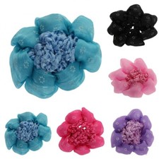 Dutt Netz Haarnetz Bun Haar