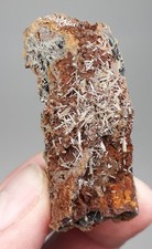 Pyromorphit - Grube San