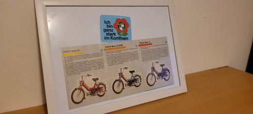 Prospektblatt broschüre - prospektblatt,