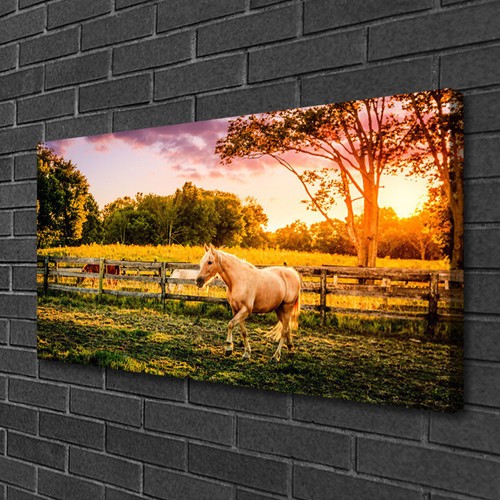 Leinwand bilder 100x50 - leinwand-bilder,