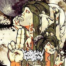 Freigeist by Fuck Your Shadow from Behind | CD | condition very good
