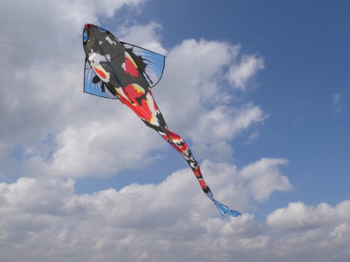 Flugdrachen drachen einleiner - flugdrachen,