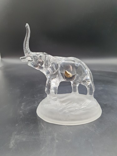 Elefant mit erhobenem rüssel - elefant,