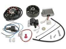 Lichtmaschine 12V 100W mit Zündung Powerdynamo für IWL Berliner Roller, Troll