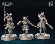 Kriegerische Walküren