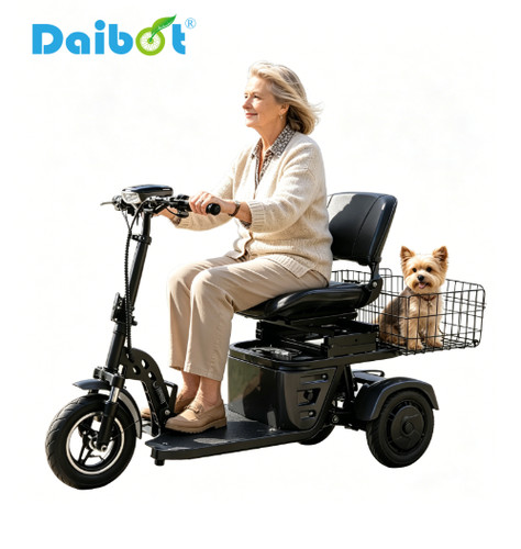Daibot elektro dreirad - elektro,