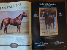 The Quarter-Horse Journal Western Pferde Reitsport