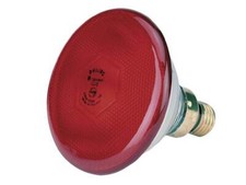 Philips spar infrarot 100w - philips, spar-infrarot