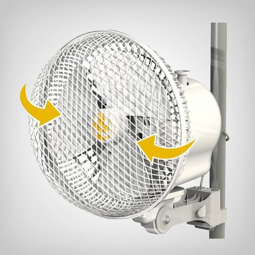 Secret jardin monkey fan - jardin, mf20