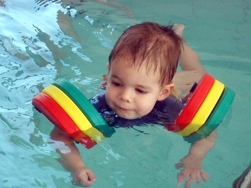 Delphin schwimmscheiben super - schwimmscheiben,
