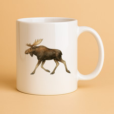 Schöne Kaffee Tee Tasse