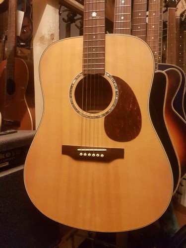 Johnson steel string - johnson,