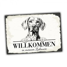 Hundeschild Willkommen Zuhause