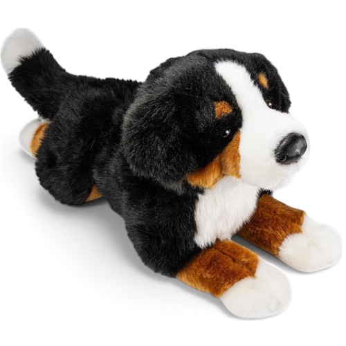 Carl dick berner sennenhund - carl,