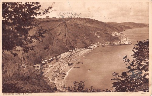 Postkarte devon oddicombe - -,