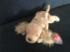 ty Beanie Baby Spunky
