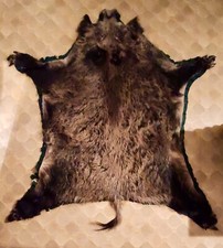 Wildschweinfell, XXL, 170x150cm, auf Jute und Filz aufgezogen, mit Füßen& Klauen