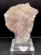 Amethyst Rose Brasilien