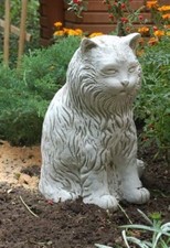 Katze (S200) Katzen Tiere Tier