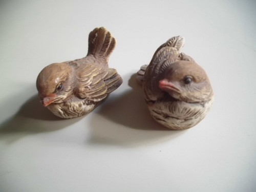 Vögel dipinto mano - vÖgel,