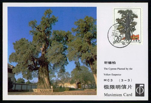 China 1983 gelber - china, kaiser