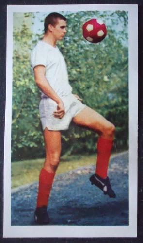Sicker sammelbild adolf - sicker,