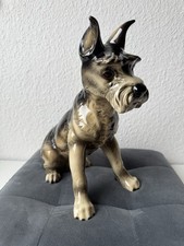 Schnauzer Hund Goebel groß