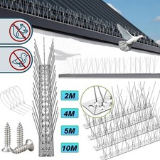 Taubenabwehr Vogelabwehr
