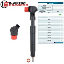 A6510703087 Einspritzdüse