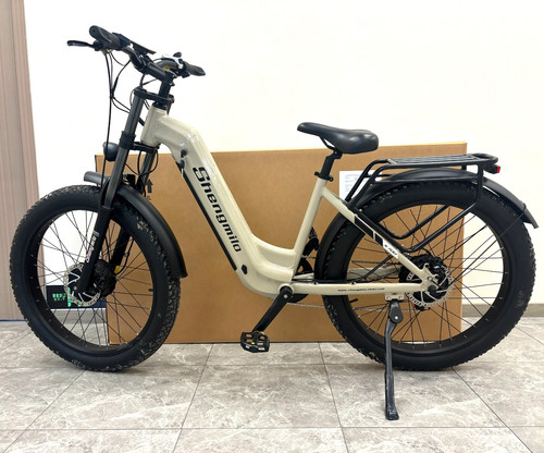 Dual motor 2000w - motor,