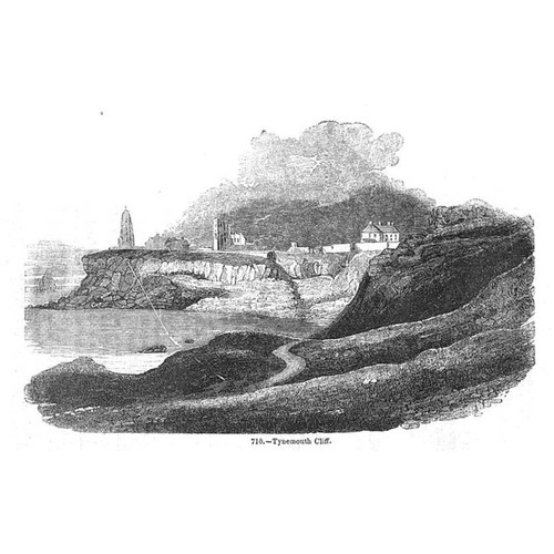 Tynemouth cliff northumberland - tynemouth,