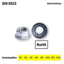 Sperrzahnmutter Flanschmutter