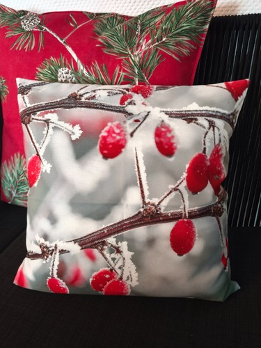 Proflax kissen winterliche - proflax,