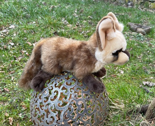 Löffelhund löffelfuchs - löffelhund, °