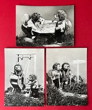 3 x DDR Foto AK 1964 Igel