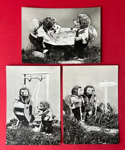 Ddr foto 1964 - 1964, igel
