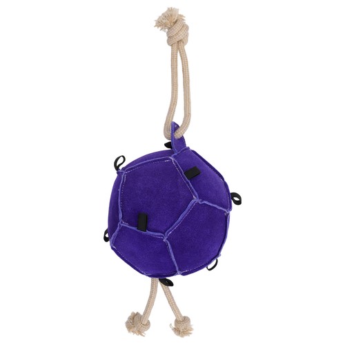 Horse guard spiel ball - guard, lila